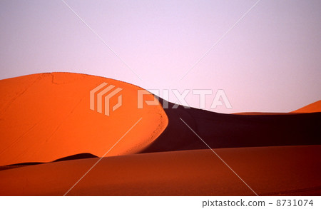 Occidental desert sand dunes 8731074