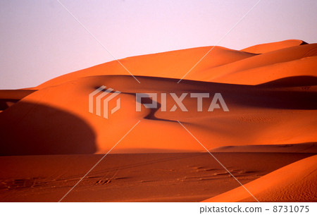 Occidental desert sand dunes Occidental desert sand dunes 8731075