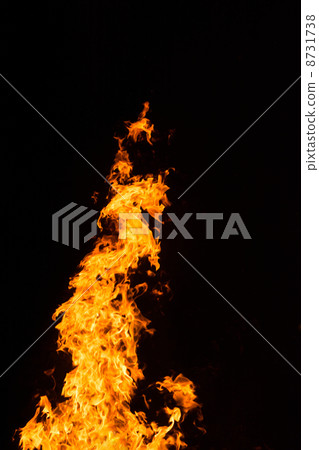 flame  8731738