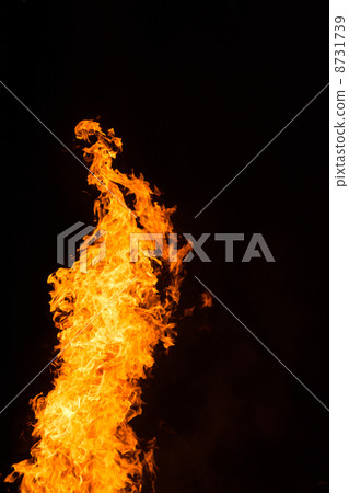 flame  8731739
