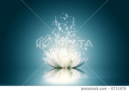 Lotus flower Lotus flower 8731978