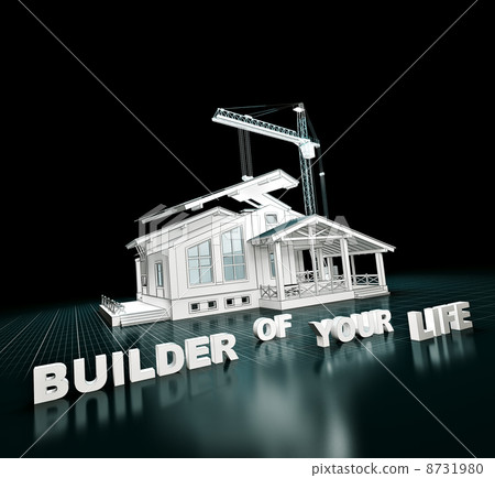 house project 8731980