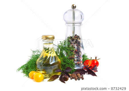 Ingredients for cooking Ingredients for cooking 8732429