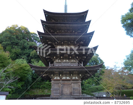 Rurikoji Rurikoji 8732695
