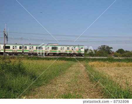 Utsunomiya Line Train Utsunomiya Line Train 8732806