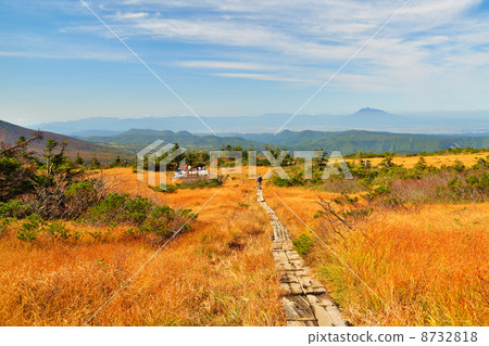 Grass foliage of Mt. Hakkoda and Iwakiyama 8732818
