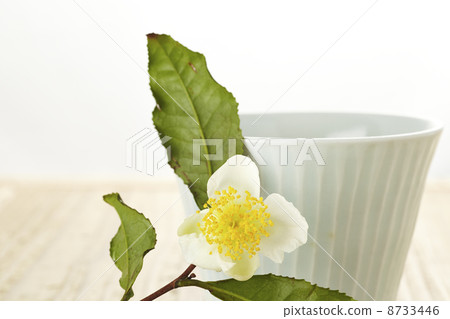 Tea flower 8733446