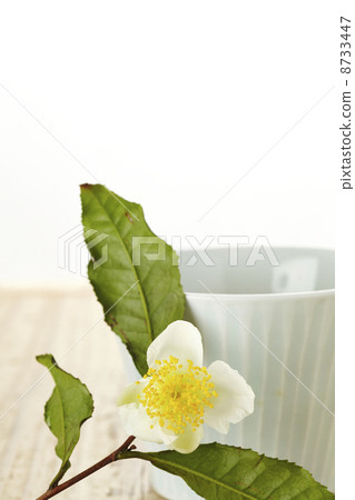 Tea flower 8733447