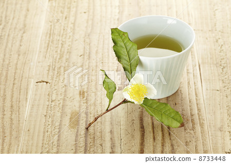 茶花 茶花 8733448
