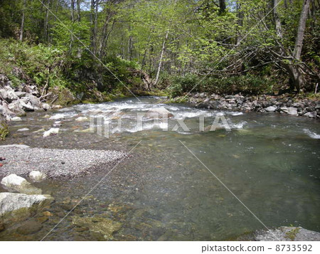 Yubetsu河的清流 8733592