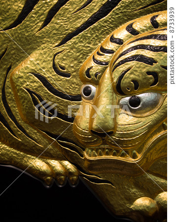 A tiger A tiger 8733939