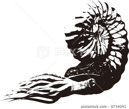 Ammonite silhouette 8734041