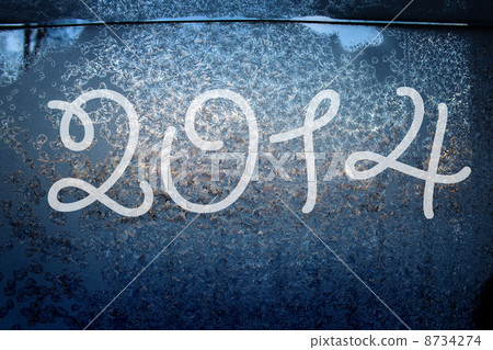2014 on the frozen surface 8734274