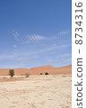 納米布沙漠 8734316