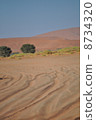 納米布沙漠 8734320