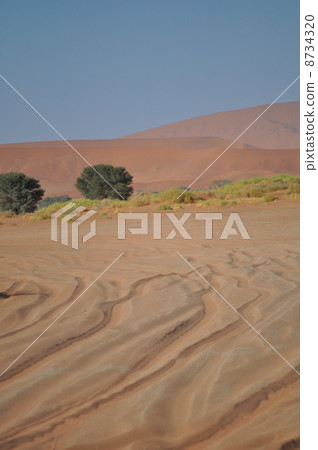 Namib Desert 8734320