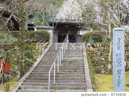 Yamina Iwaya-ji Yamina Iwaya-ji 8734836