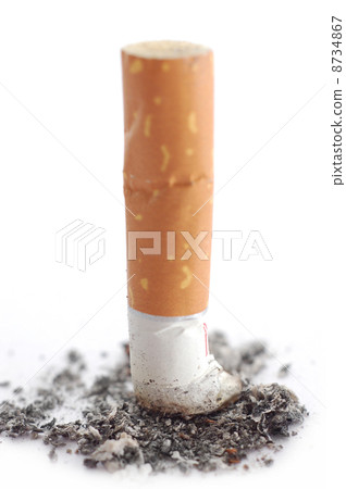 Cigarette butt 8734867