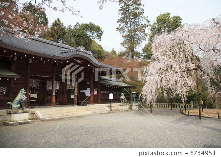 Kyoto Oishi Shrine 8734951