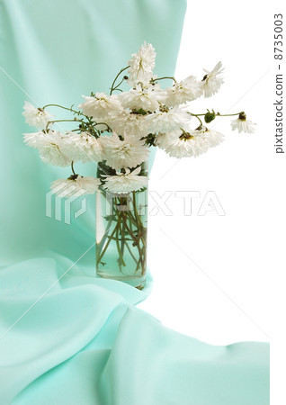 Bouquet of white chrysanthemum 8735003