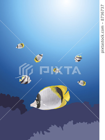 一個例證 一個例證 8736737