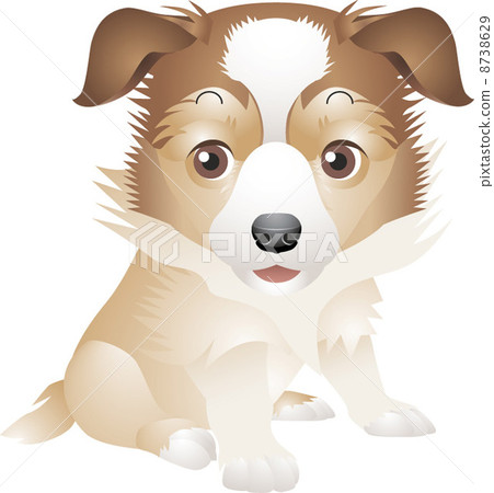 一個例證 8738629