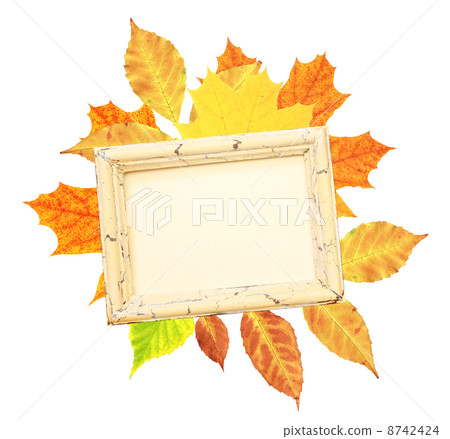Autumn leaves and wooden frame 8742424