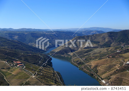 Landscape of the World Heritage Alto Douro Wine Producing Area (Futu terraced paddy field), Portugal 8743451