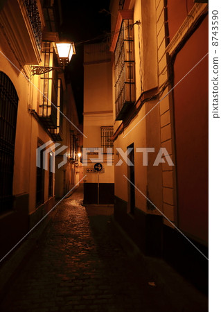 Landscape of the alley of Seville, Spain 8743590