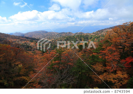 Fall of Otagichihara Fall of Otagichihara 8743594