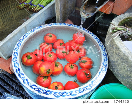 Summer chilly tomatoes Summer chilly tomatoes 8744220