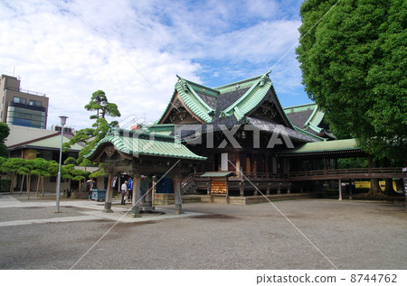Shibamata Takumi Shibamata Takumi 8744762