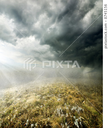 Rain in the field 8745156