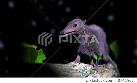 Henkeloterium 1 8745562