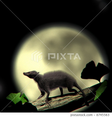 Henkeroterium 2 8745563