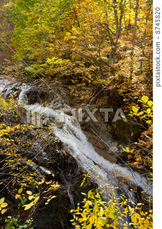 Mountain stream of Terracombe Mountain stream of Terracombe 8745820