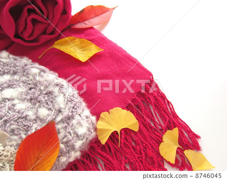 失速和帽子秋天冬天圖像 8746045