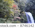 The beginning of autumn leaves and the waterfall of charity 8746142