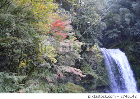 The beginning of autumn leaves and the waterfall of charity 8746142