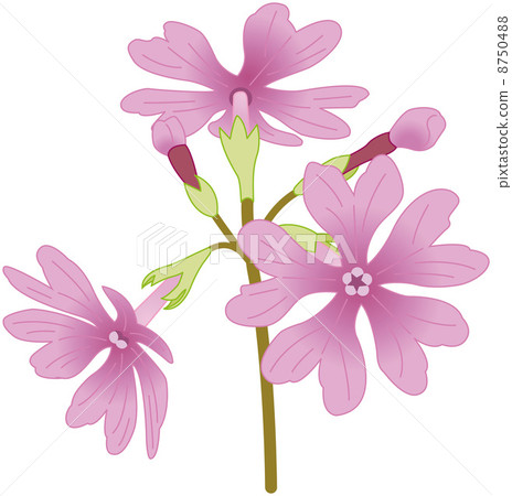 一個例證 8750488