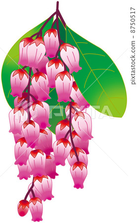 一個例證 一個例證 8750517