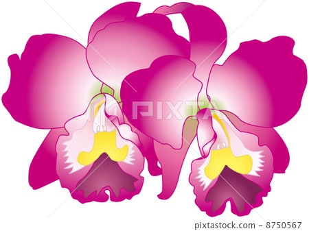 An illustration An illustration 8750567