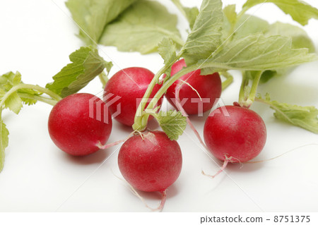 Radish 8751375