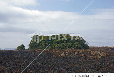Akiyoshidai after the mountain baked 8751402