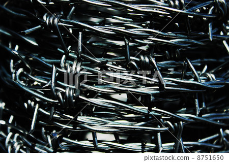 Barbed wire 8751650