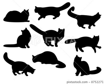 Cat's silhouettes 8752271