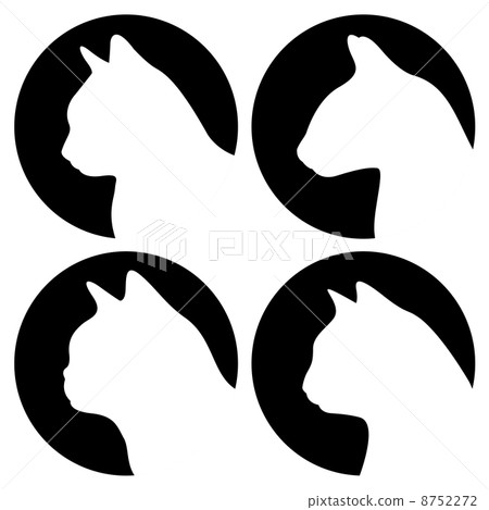 Heads of cats, other breeds 8752272