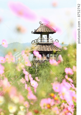 恢復了卡拉科城堡鎮和關鍵遺跡 8752742