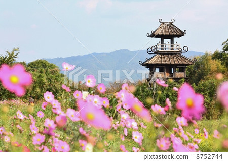 Restored castle town of Karako and key remains 8752744
