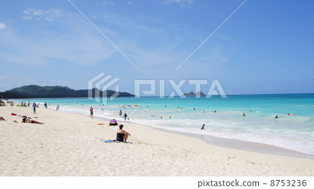 haleiwa, north shore, Waikiki 8753236